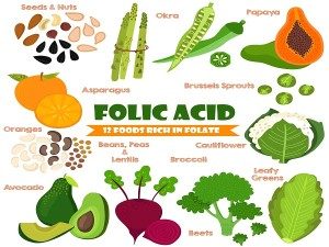 Folic acid rich food sources